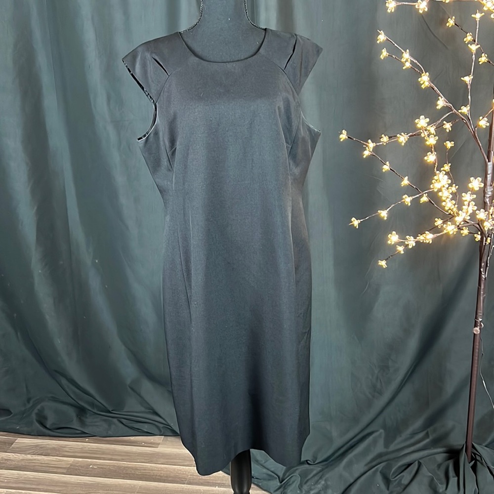 Black Label Evan-Picone Dress